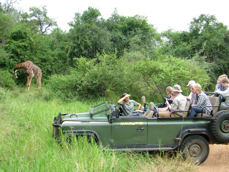 makutsi safari