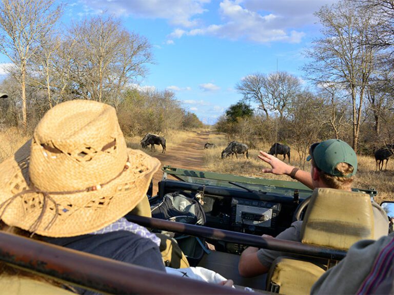 makutsi-excursions-safari