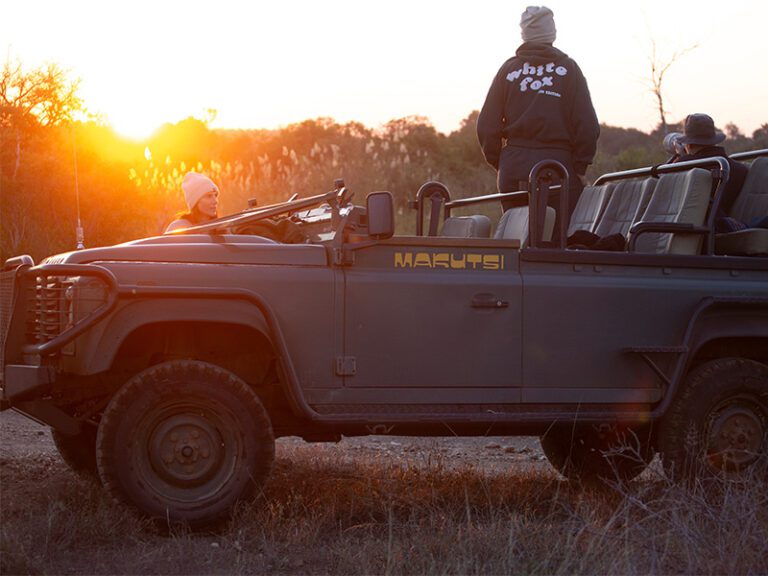 makutsi-excursions-safari2