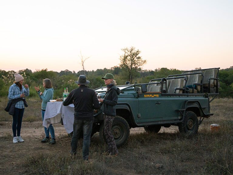 makutsi-excursions-safari3
