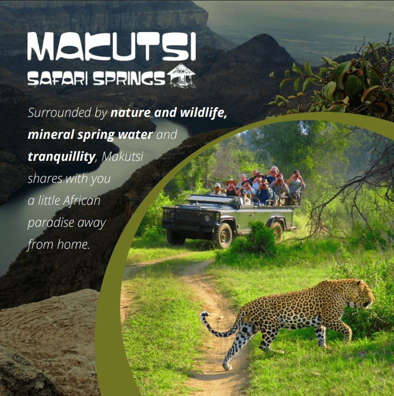 makutsi safari springs brochure