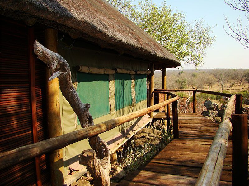 makutsi-tented-camp-tent