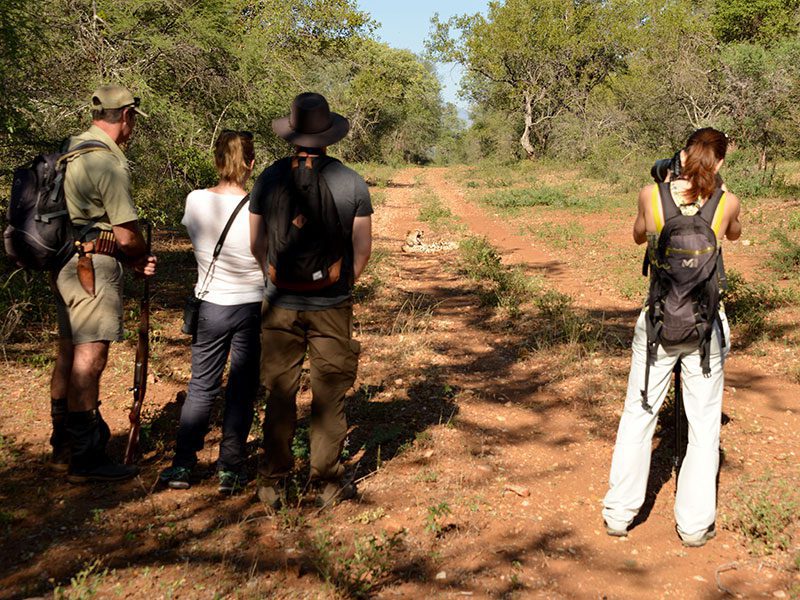 makutsi-tented-camp-walk