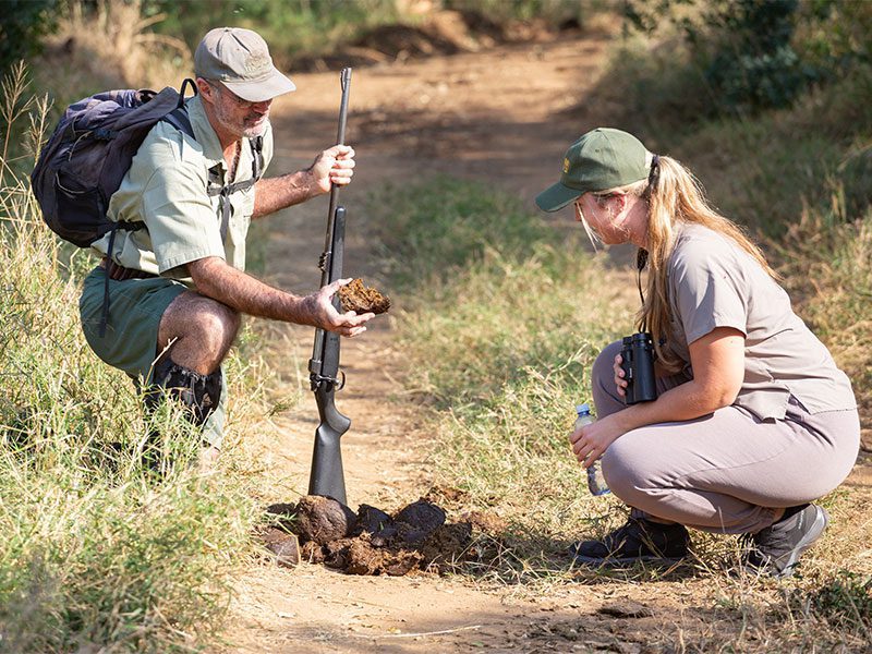 makutsi-tented-camp-walk