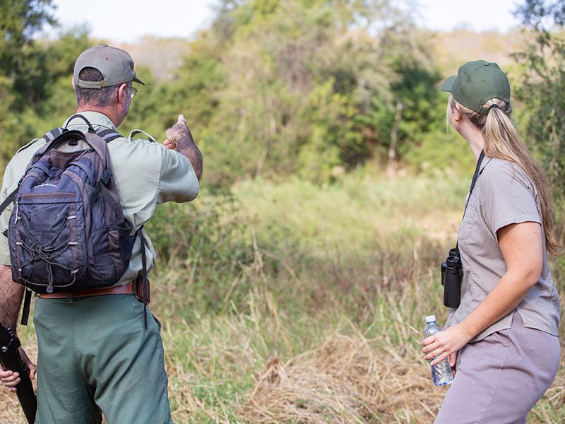 makutsi-tented-camp-walk