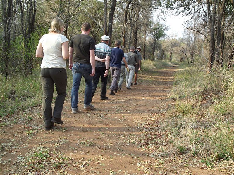 makutsi-tented-camp-walk
