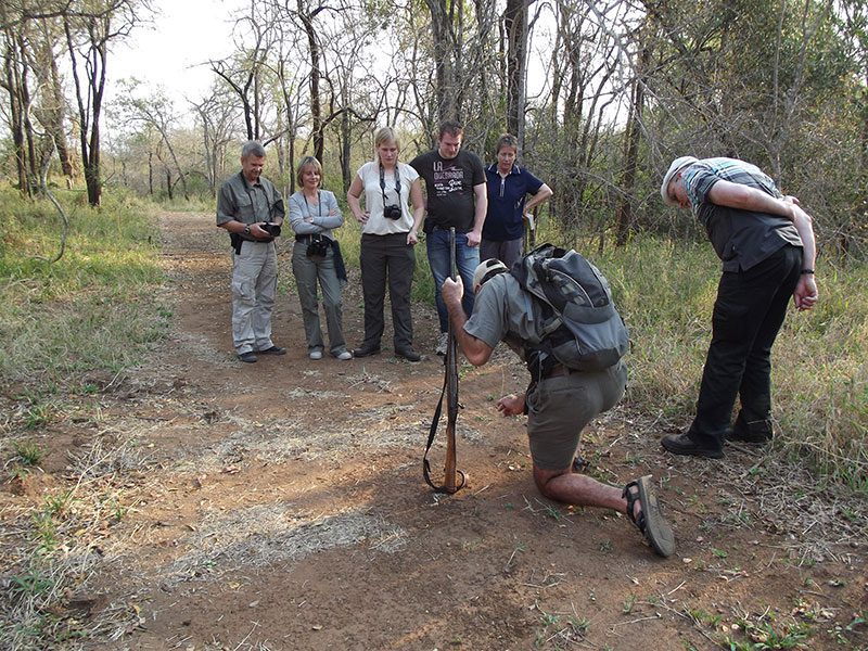 makutsi-tented-camp-walk