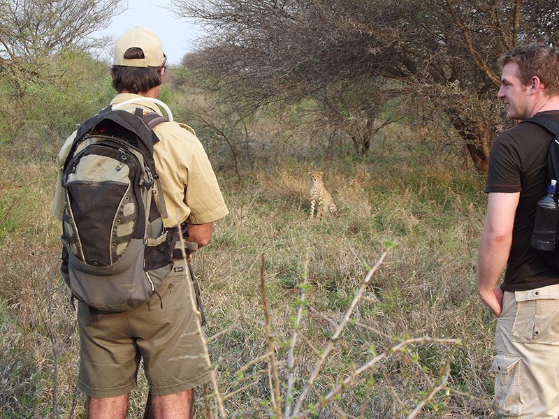 makutsi-tented-camp-walk