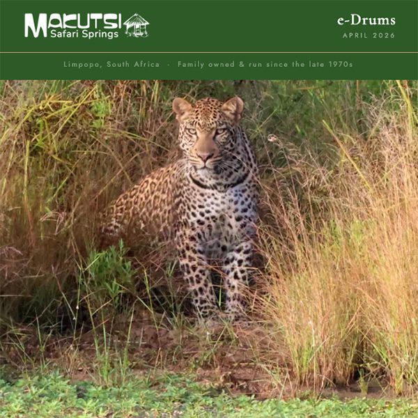 e-drum apr2026