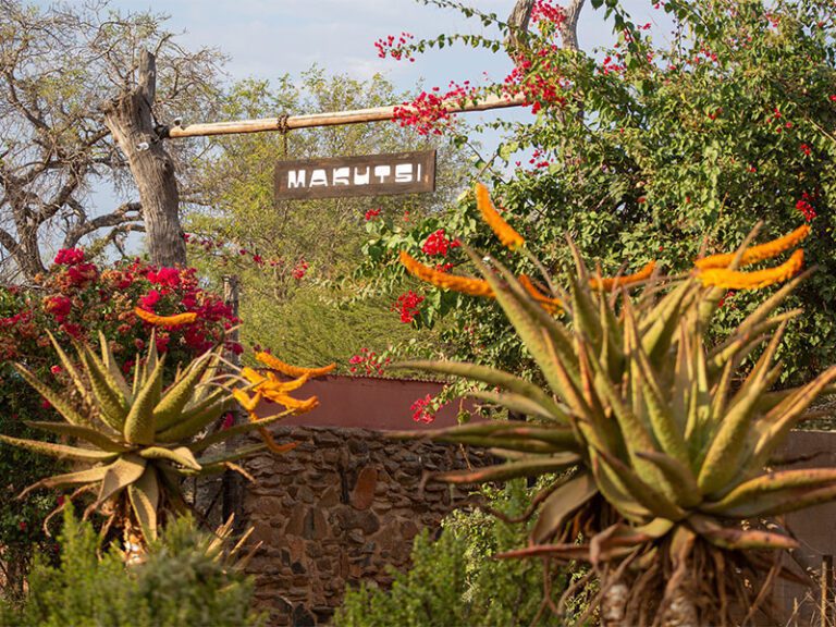 makutsi-about-gate