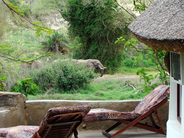 elephant-private-terrace-makutsi-safari-springs