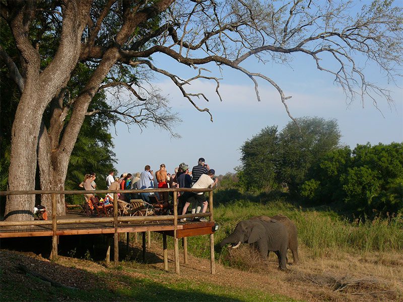 river-lapa-elephants-makutsi-safari-springs