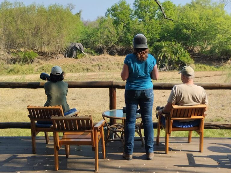 elephant-lapa-makutsi-safari-springs