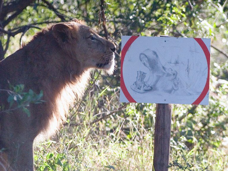 no-walking-sign-makutsi-safari-springs
