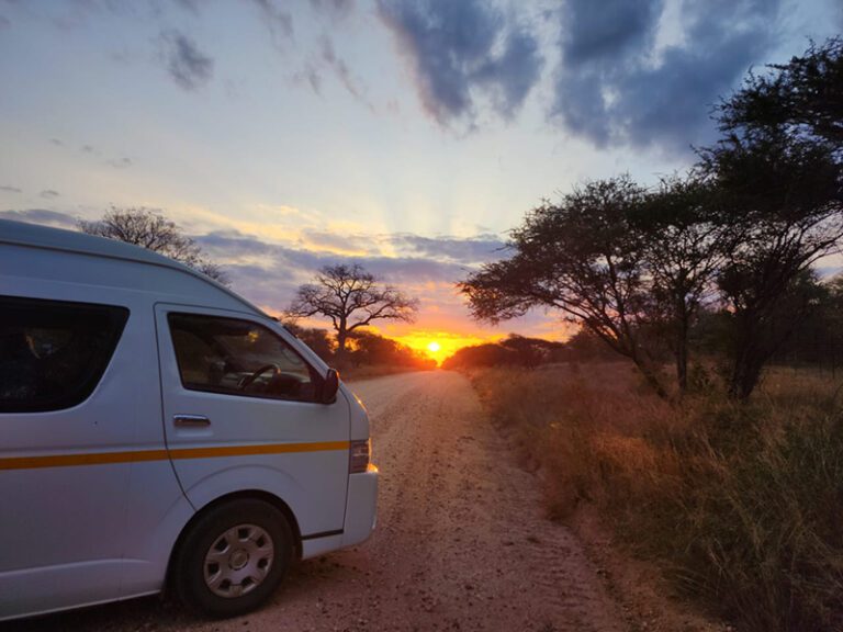 kruger-park-sunrise-makutsi-safari-springs