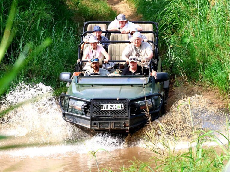 exciting-safari-landrover-makutsi-safari-springs
