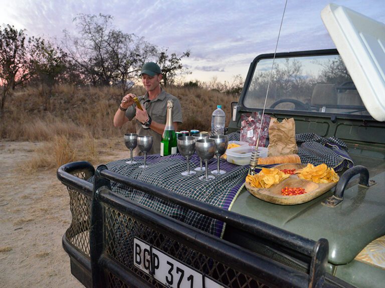 simba-sundowners-safari-makutsi-safari-springs