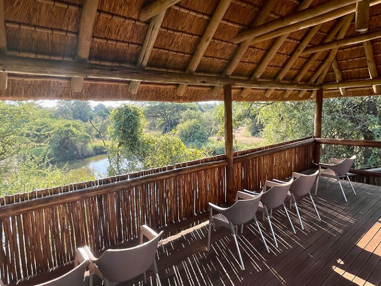 hippo-hide-makutsi-safari-springs