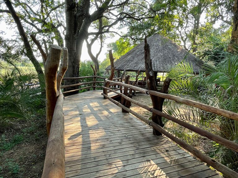 new-papa-makutsi-safari-springs