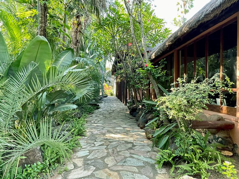 path-pool-safari-shop-makutsi-safari-springs