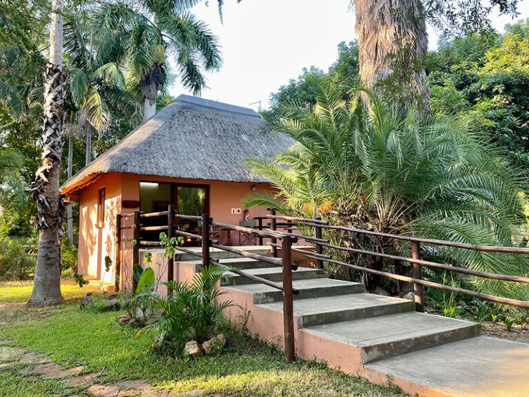 reception-makutsi-safari-springs