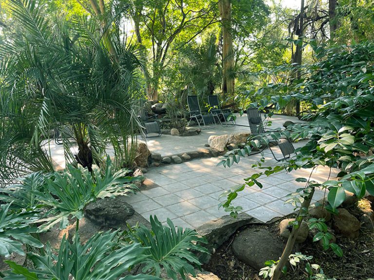 lounge-chairs-swimming-pool-makutsi-safari-springs