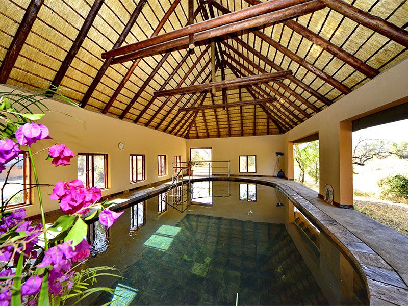 indoor-heated-pool-makutsi-safari-springs