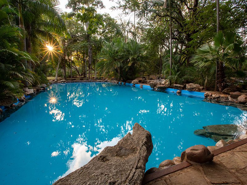 outdoor-mineral-swimming-pool-makutsi-safari-springs