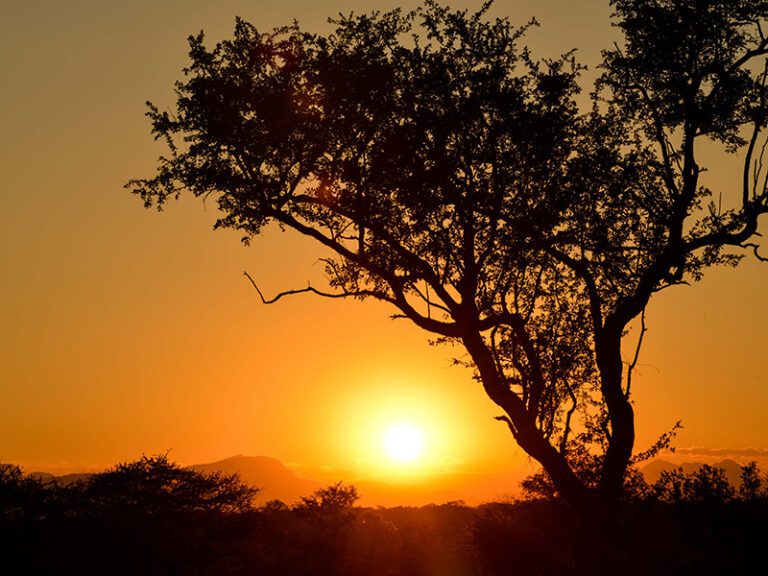 drakensberg-sunset-safari-makutsi-safari-springs
