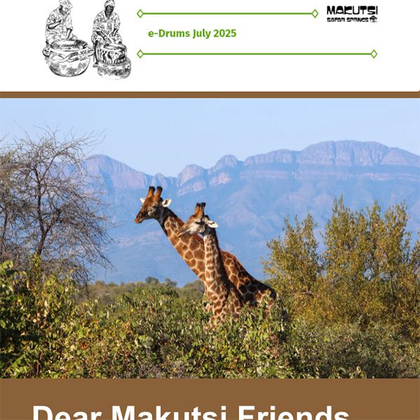 makutsi-newsletter-july2025