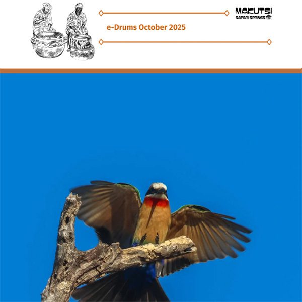 makutsi-newsletter-october2025